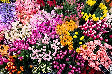 《Finch & Archie》Steam上线 在线合作悬疑探案